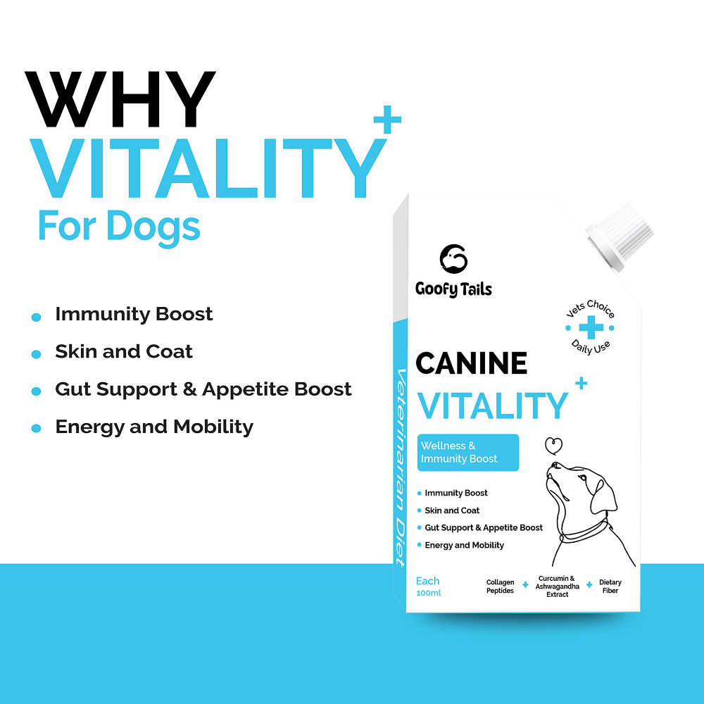 Goofy Tails Chicken Flavoured Canine Vitality + Wellness & Immunity Booster Supplement for Dogs
