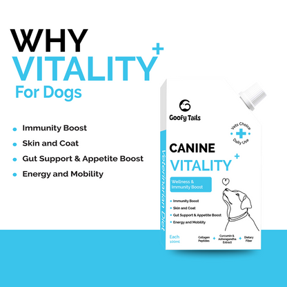 Goofy Tails Chicken Flavoured Canine Vitality + Wellness & Immunity Booster Supplement for Dogs