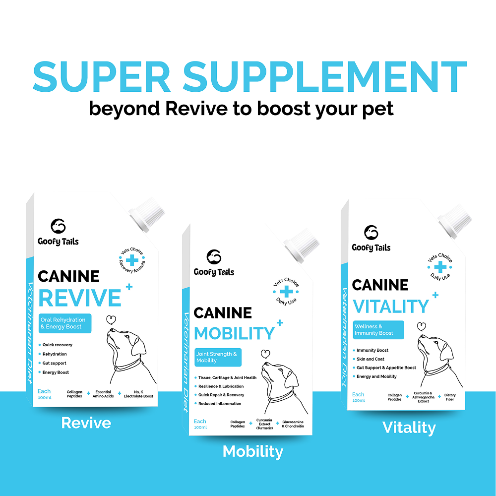 Goofy Tails Chicken Flavoured Canine Vitality + Wellness & Immunity Booster Supplement for Dogs