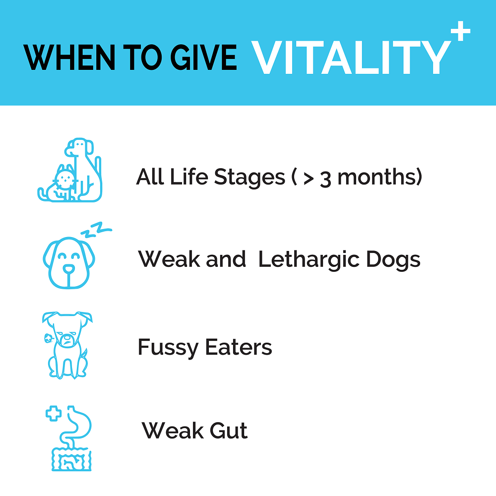 Goofy Tails Chicken Flavoured Canine Vitality + Wellness & Immunity Booster Supplement for Dogs