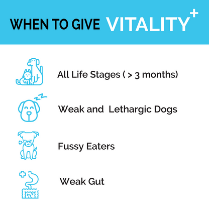 Goofy Tails Chicken Flavoured Canine Vitality + Wellness & Immunity Booster Supplement for Dogs