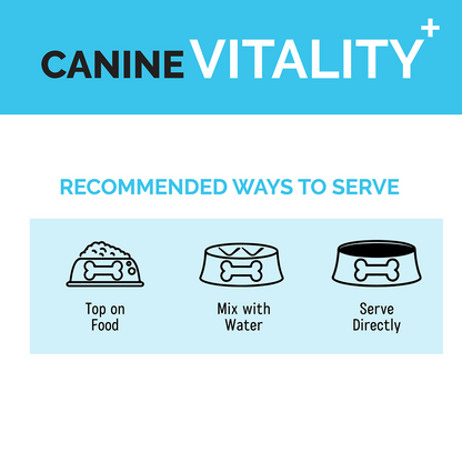 Goofy Tails Chicken Flavoured Canine Vitality + Wellness & Immunity Booster Supplement for Dogs