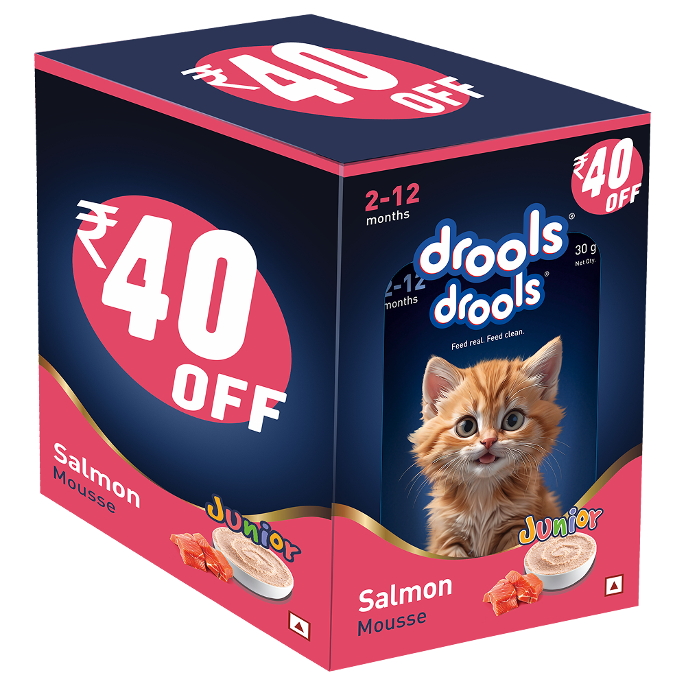 Drools Salmon Mousse Kitten Cat Wet Food