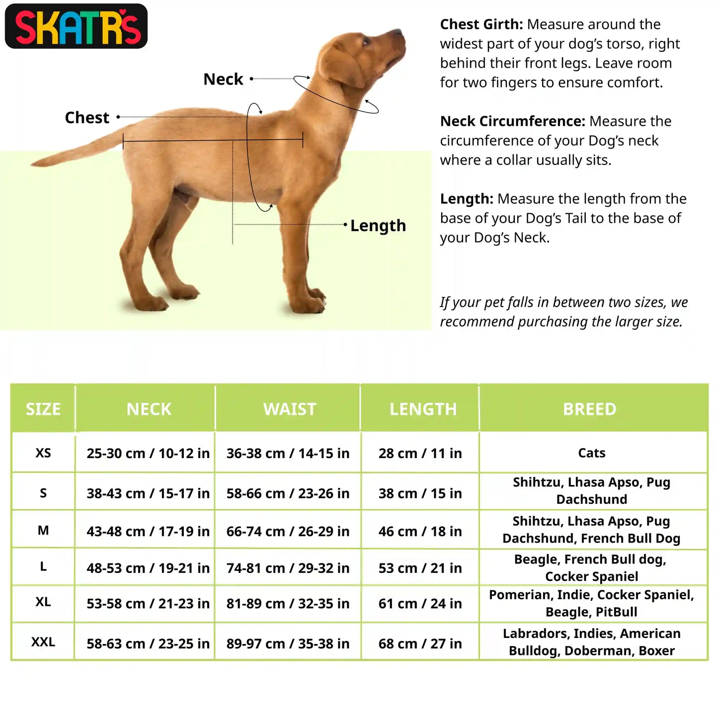 Skatrs Cotton Shirt for Dogs and Cats (Lavender and White)