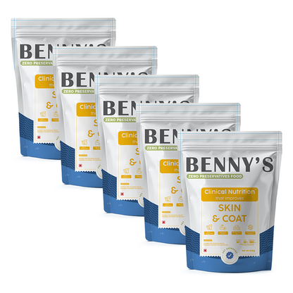 Benny's Bowl Clinical Nutrition for Healthy Skin and Coat Dog Wet Food