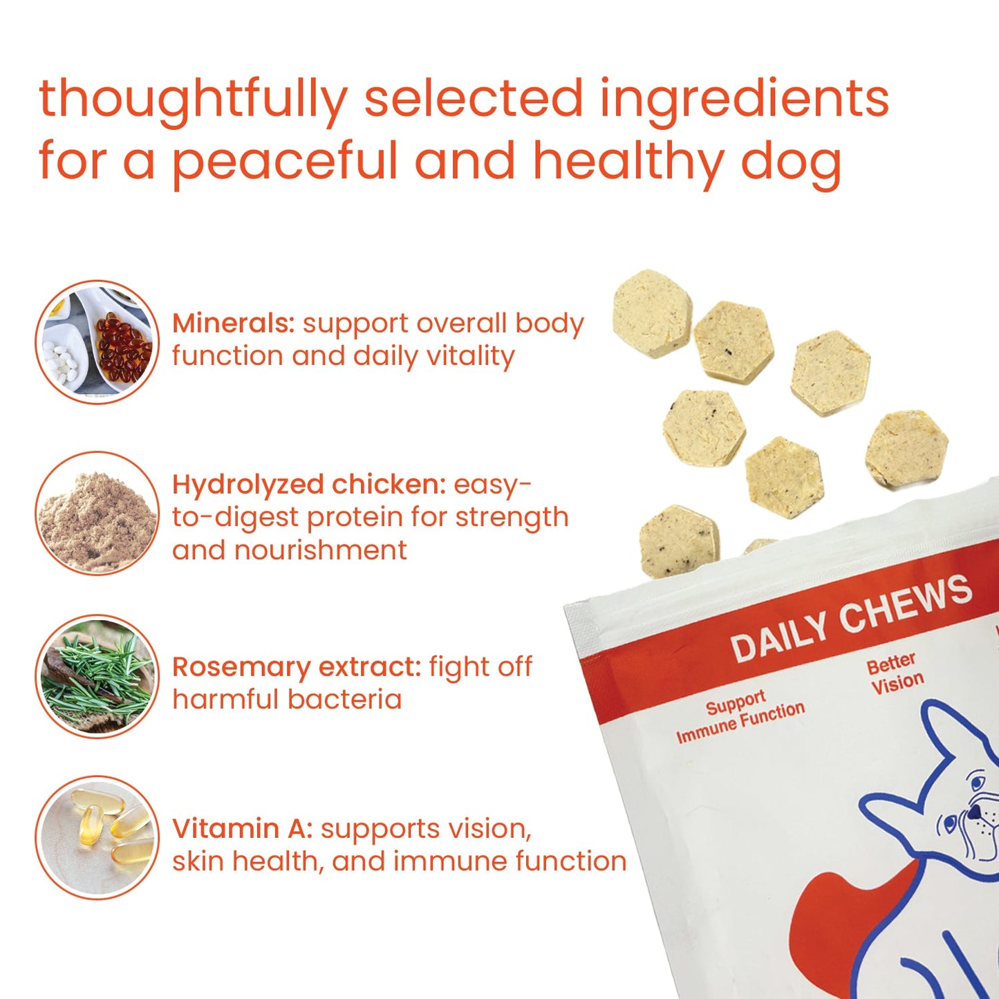 Nootie+ Multivitamin Daily Chews Supplement for Dogs