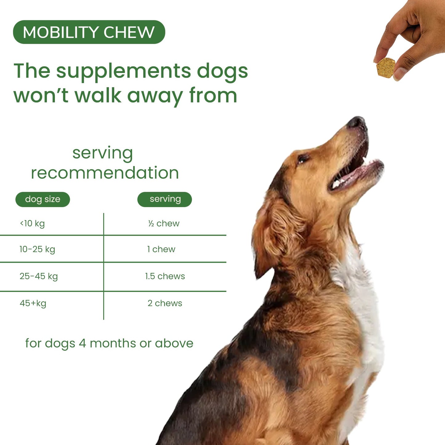 Nootie+ Joint & Bone Mobility Chews Supplement for Dogs