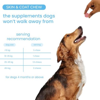 Nootie+ Omega Rich Skin & Coat Support Chews Supplement for Dogs