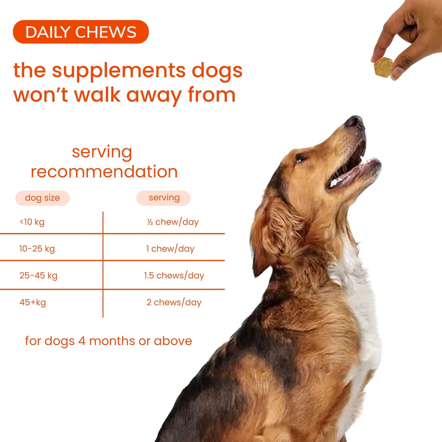 Nootie+ Multivitamin Daily Chews Supplement for Dogs