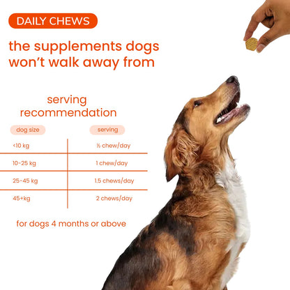 Nootie+ Multivitamin Daily Chews Supplement for Dogs