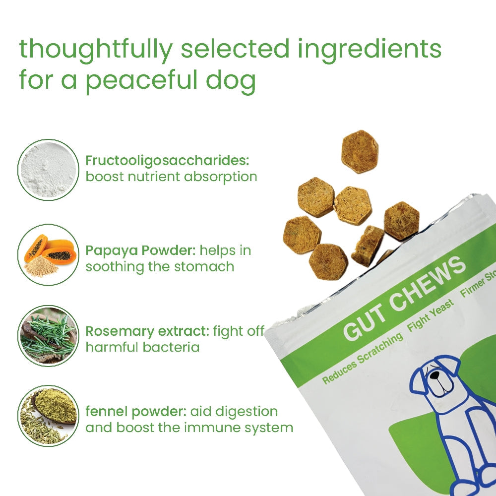 Nootie+ Digestive & Probiotic Gut Chew Supplement for Dogs
