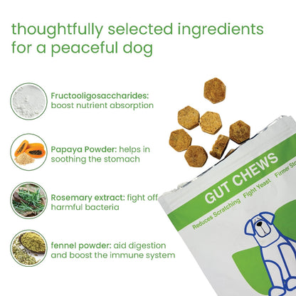Nootie+ Digestive & Probiotic Gut Chew Supplement for Dogs