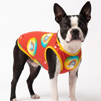 Skatrs Boho Rainbow T-Shirt for Dogs and Cats
