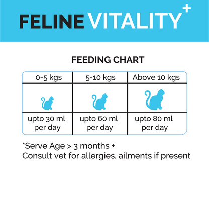 Goofy Tails Chicken Flavoured Feline Vitality + Wellness & Immunity Booster Supplement for Cats