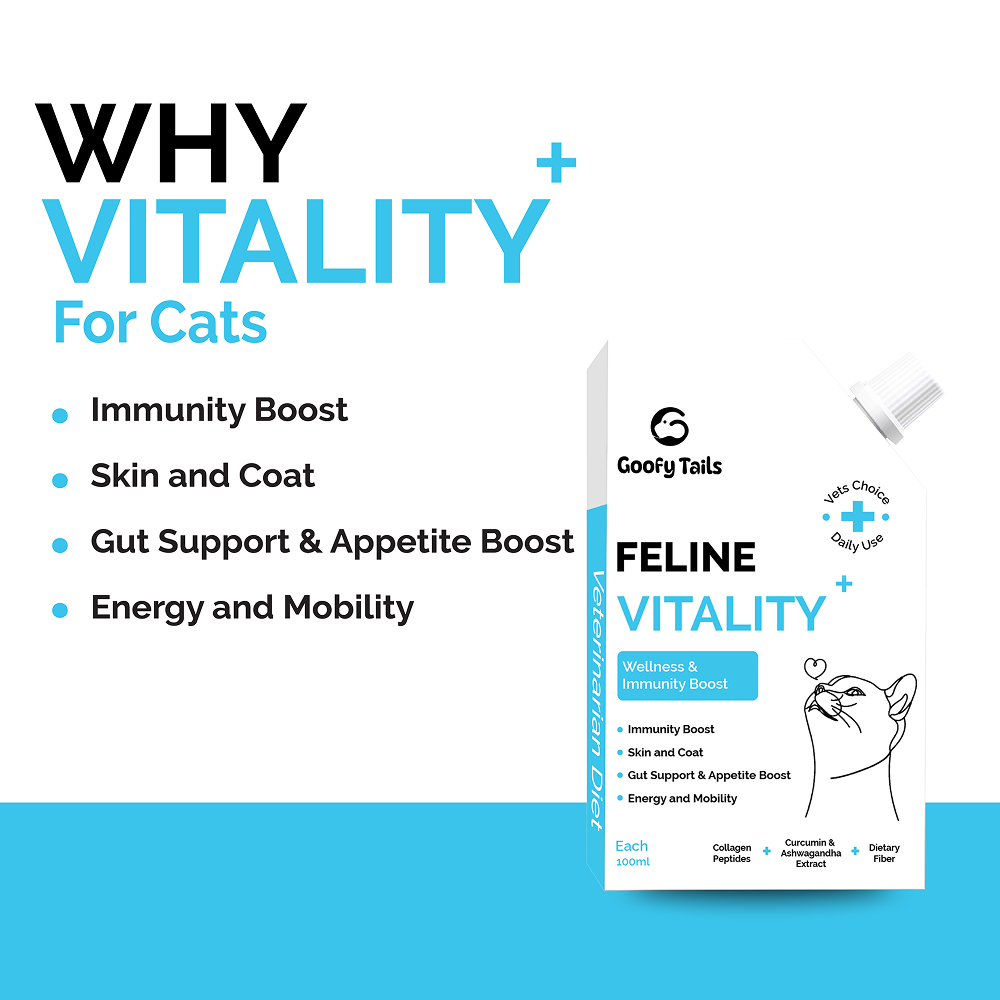 Goofy Tails Chicken Flavoured Feline Vitality + Wellness & Immunity Booster Supplement for Cats