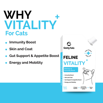 Goofy Tails Chicken Flavoured Feline Vitality + Wellness & Immunity Booster Supplement for Cats