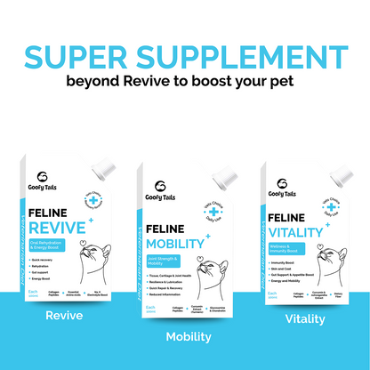 Goofy Tails Chicken Flavoured Feline Vitality + Wellness & Immunity Booster Supplement for Cats
