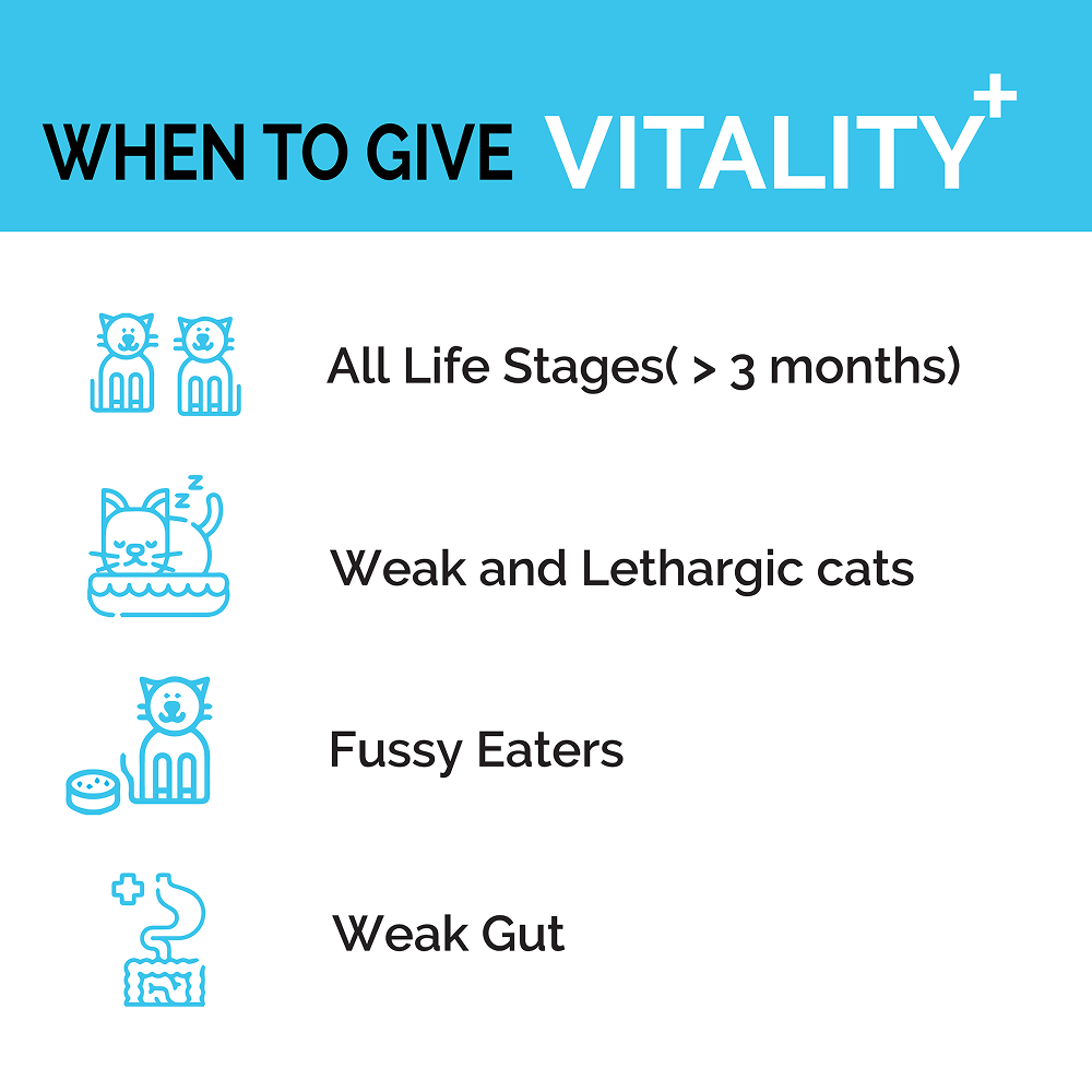 Goofy Tails Chicken Flavoured Feline Vitality + Wellness & Immunity Booster Supplement for Cats