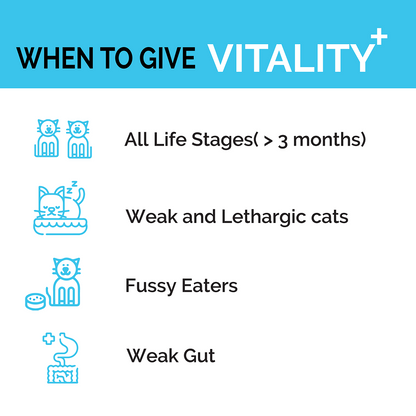 Goofy Tails Chicken Flavoured Feline Vitality + Wellness & Immunity Booster Supplement for Cats