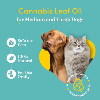 Vedic Tails Strong Cannabis Leaf Oil for Dogs and Cats