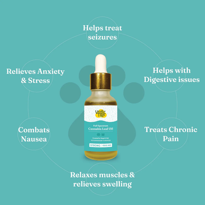 Vedic Tails Strong Cannabis Leaf Oil for Dogs and Cats