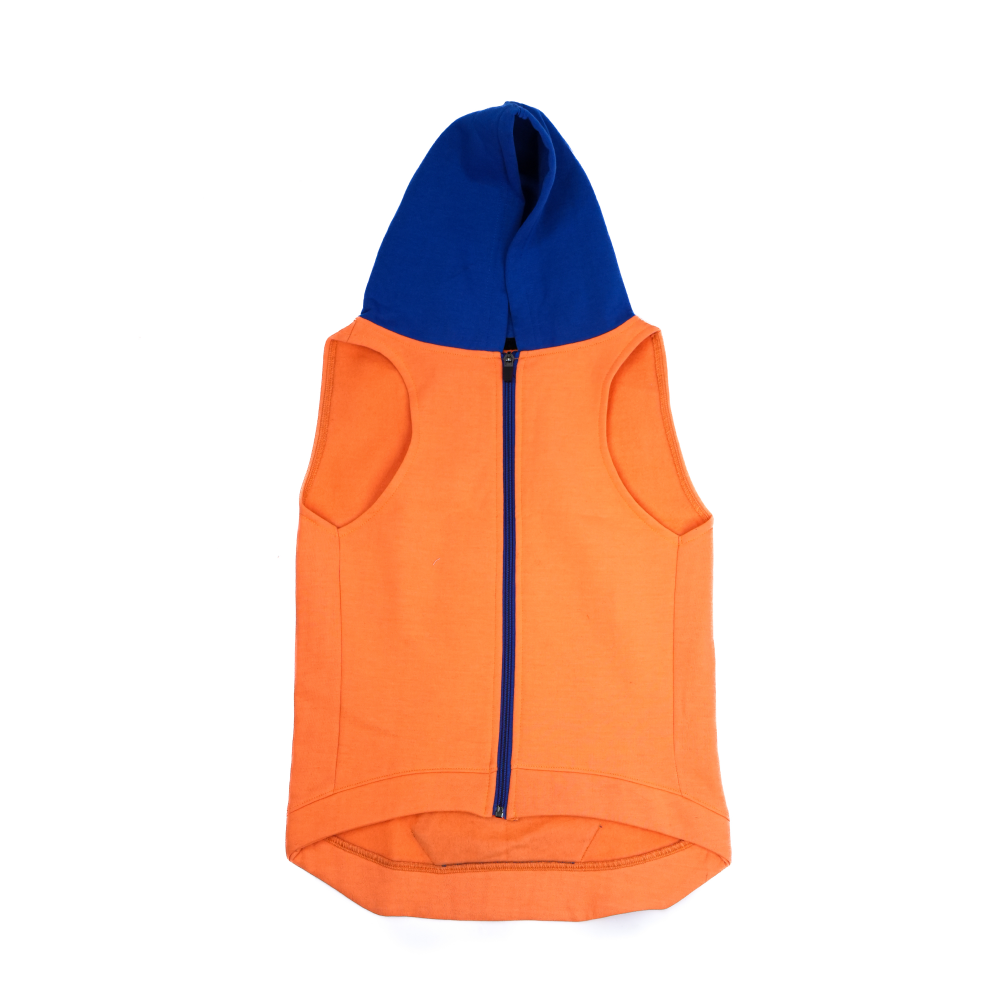 Skatrs Sunset Splash In-Style Hoodie For Dogs and Cats (Orange & Blue)